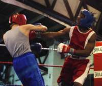 tttscgoldengloves8002_small.jpg