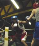 tttscgoldengloves8003_small.jpg