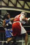 tttscgoldengloves8004_small.jpg