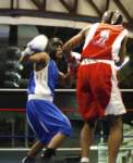 tttscgoldengloves8005_small.jpg