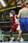 tttscgoldengloves8006_small.jpg