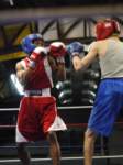 tttscgoldengloves8007_small.jpg